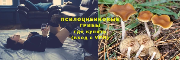 мескалин Абинск