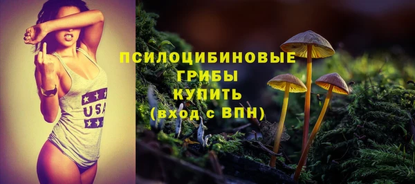 мдпв Покачи