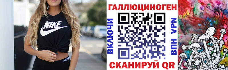 наркота  это формула  Псилоцибиновые грибы Psilocybe  Камышлов  ОМГ ОМГ зеркало 